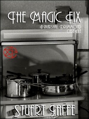 cover image of The Magic Fix